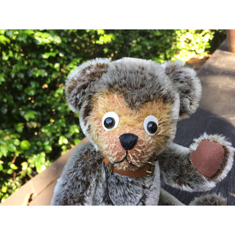The Very First Teddy - KiwiCurio-Robin Rive-Teddy Bears-Limited Edition