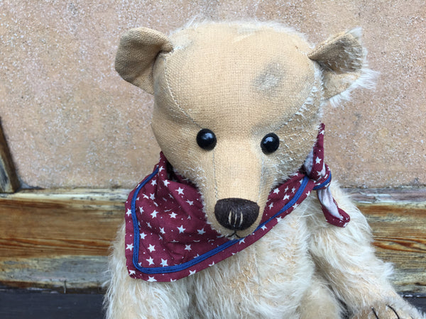 Alvin - KiwiCurio-Robin Rive-Teddy Bears-Limited Edition