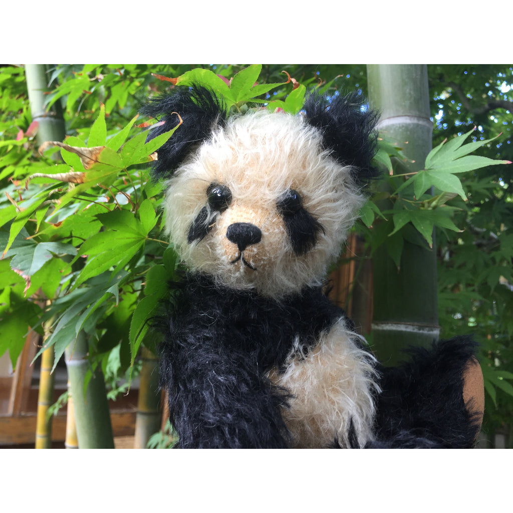 Isaac - KiwiCurio-Robin Rive-Teddy Bears-Limited Edition