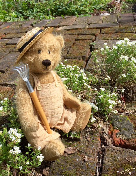 Bernard - KiwiCurio-Robin Rive-Teddy Bears-Limited Edition