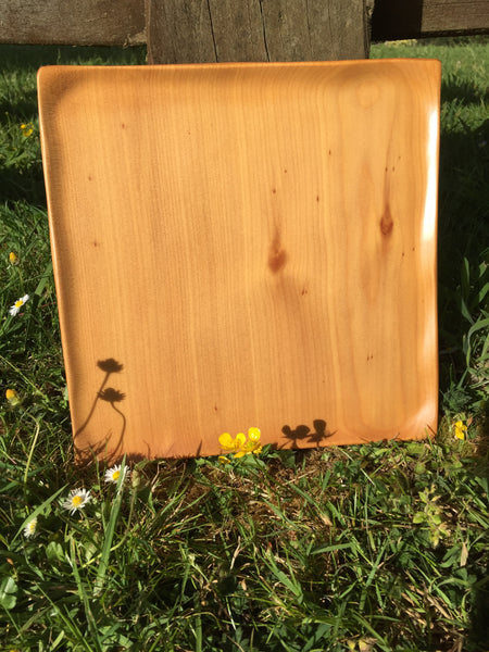 Kauri Square Robin Rive designed plates
