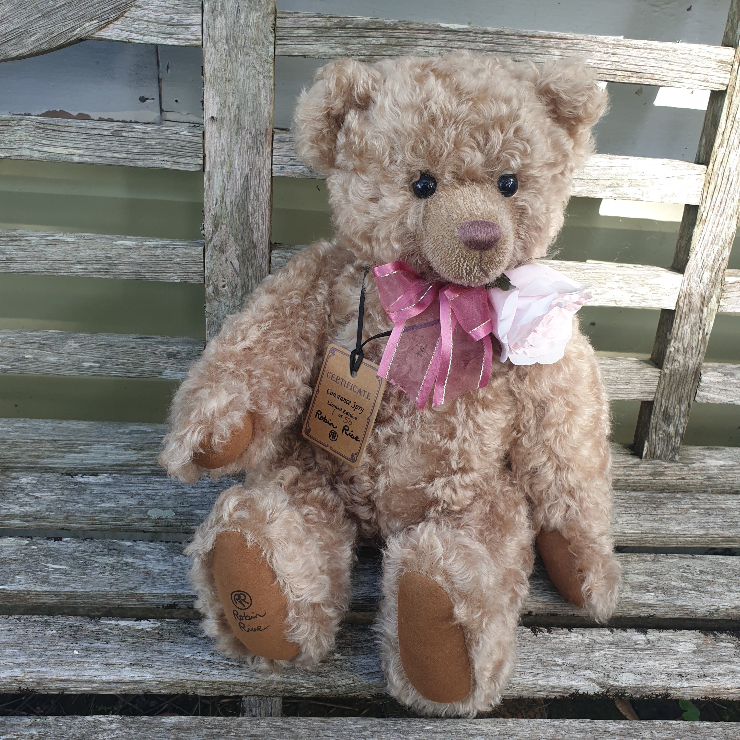Bears Robin Rive New Zealand Artist - DOLLYSISTERS DOWN