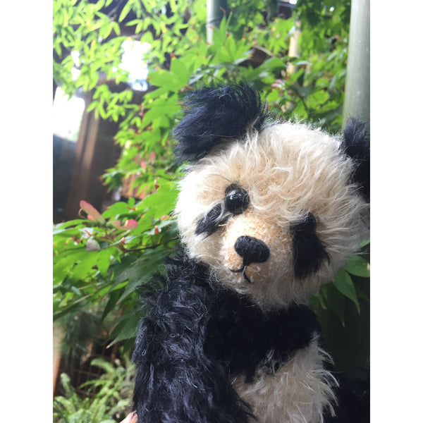 Isaac - KiwiCurio-Robin Rive-Teddy Bears-Limited Edition