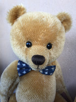 George - KiwiCurio-Robin Rive-Teddy Bears-Limited Edition