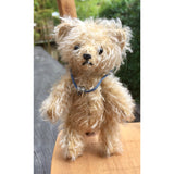 Pocket Bear - KiwiCurio-Robin Rive-Teddy Bears-Limited Edition