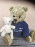 Arney, Robin Rive Bear, 32cm OOAK collectible pale green mohair teddy, sweatshirt
