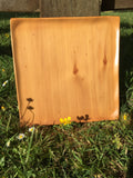 Kauri Square plates, Robin Rive designed wooden plates